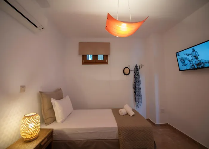 Marelia - Seafront With Infinity Pool Holiday home *